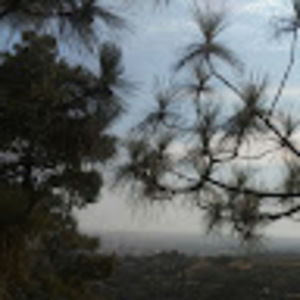 Meet your Posher, Renato